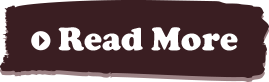 Read More